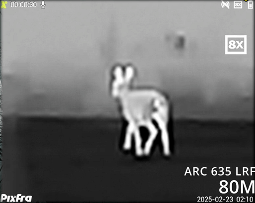 Pixfra Arc LRF Aufnahme 80M