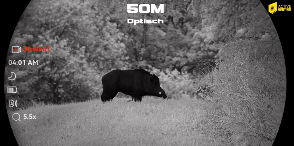 Hikmicro Habrok 4K Aufnahme 50m optisch