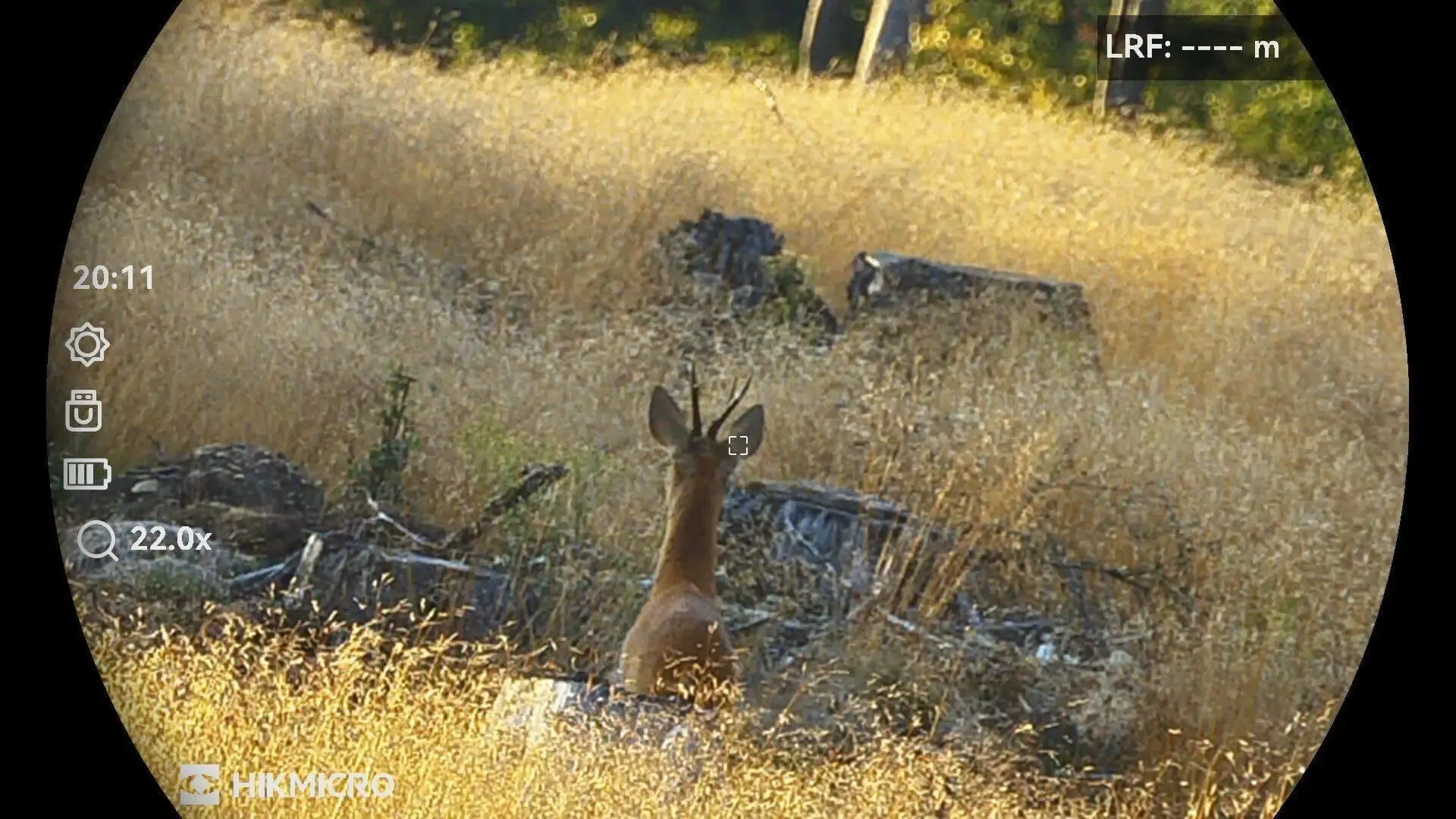 Hikmicro Habrok Pro HX60LN Aufnahme Reh