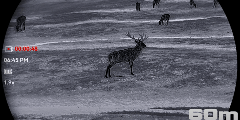 Falcon 2.0 Revieraufnahme bei 60m