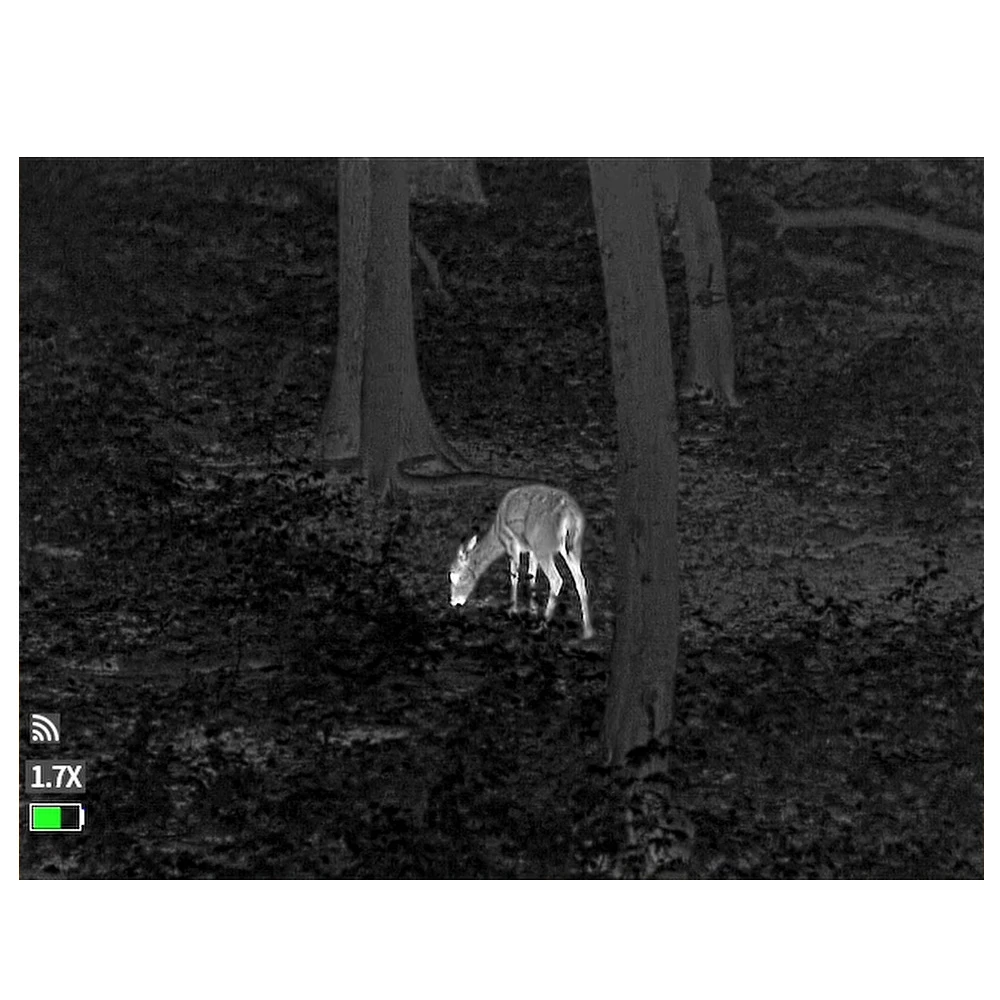 Guide TD631 LRF Aufnahme