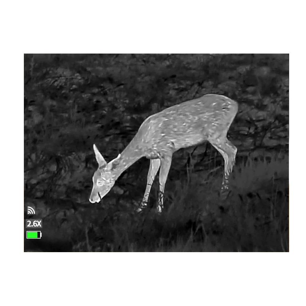 Guide TD431 LRF Aufnahme