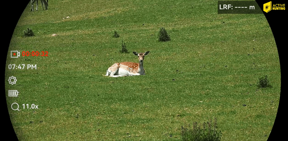 Hikmicro Habrok 4K Aufnahme bei 11x Zoom