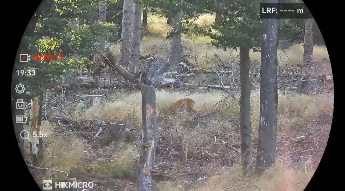 Hikmicro Habrok Pro HX60LN Aufnahme 70 Meter