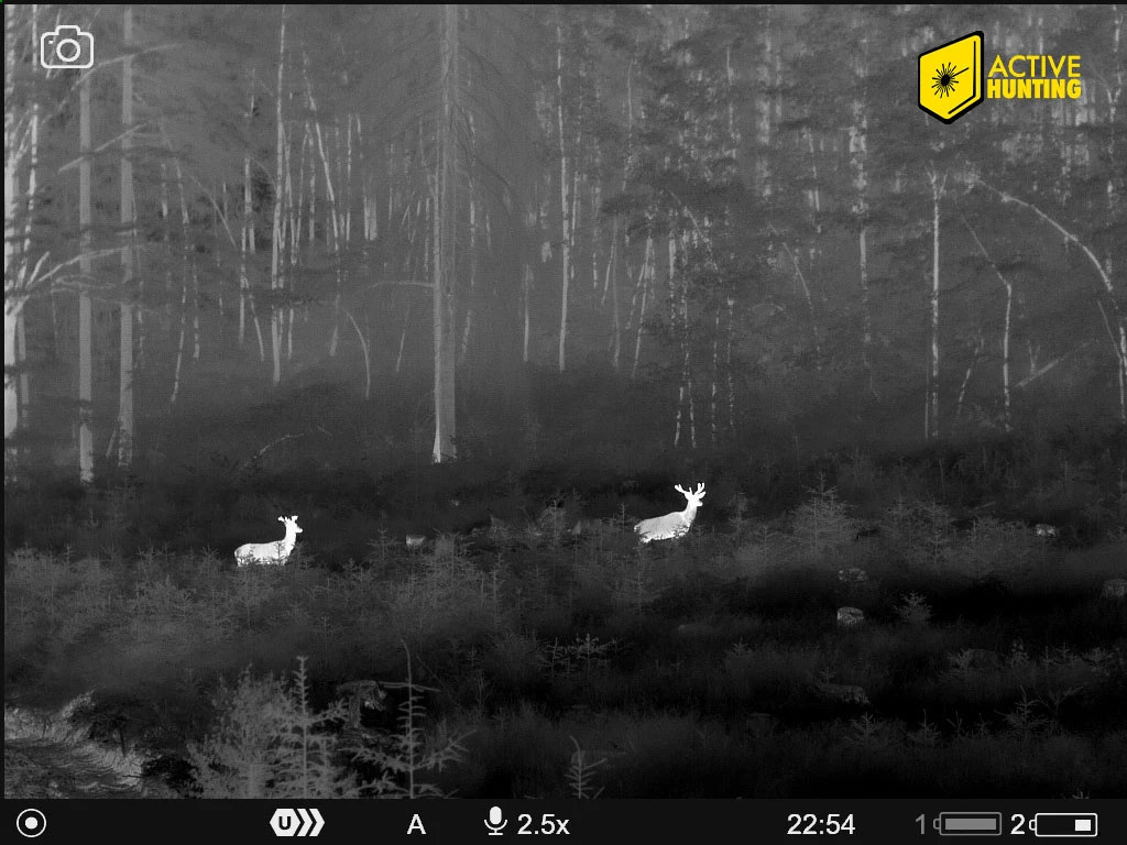 Pulsar Merger XL50 LRF Aufnahmen