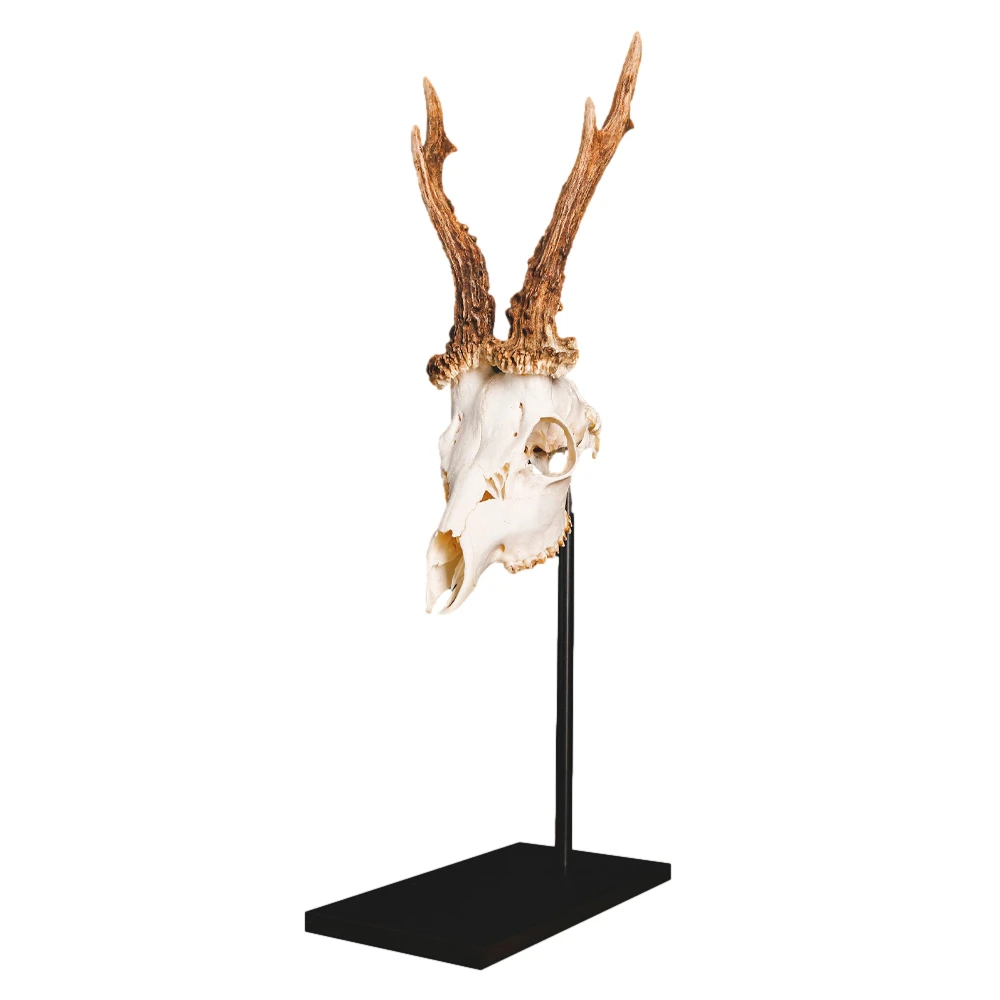 Waidmetall Trophäenständer Rehwild Detail