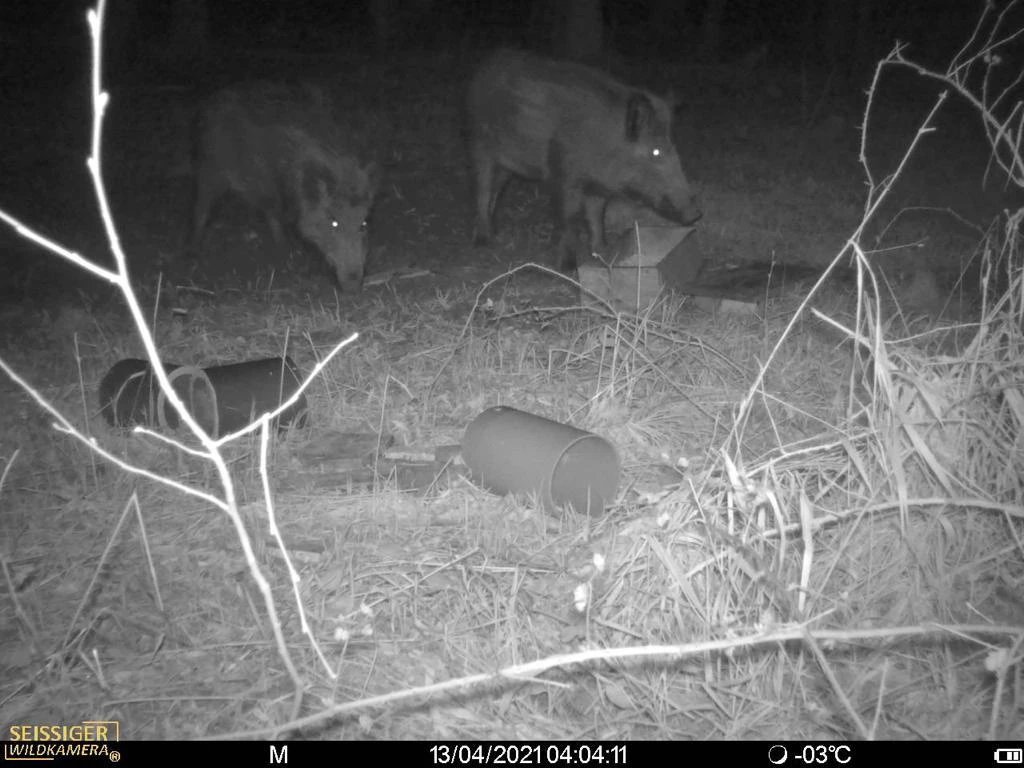 Kirrung anlegen Anleitung