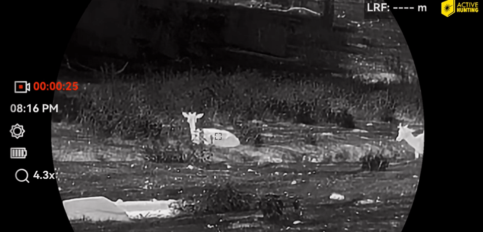 Hikmicro Habrok 4K Aufnahme 4,3x Zoom