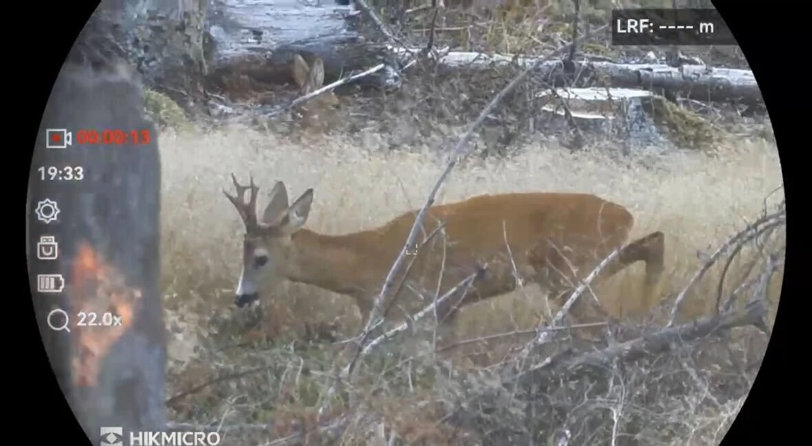 Hikmicro Habrok Pro HX60LN Aufnahme