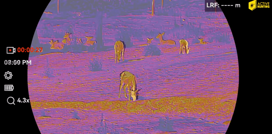 Hikmicro Habrok 4K Aufnahme Farbmodus 1