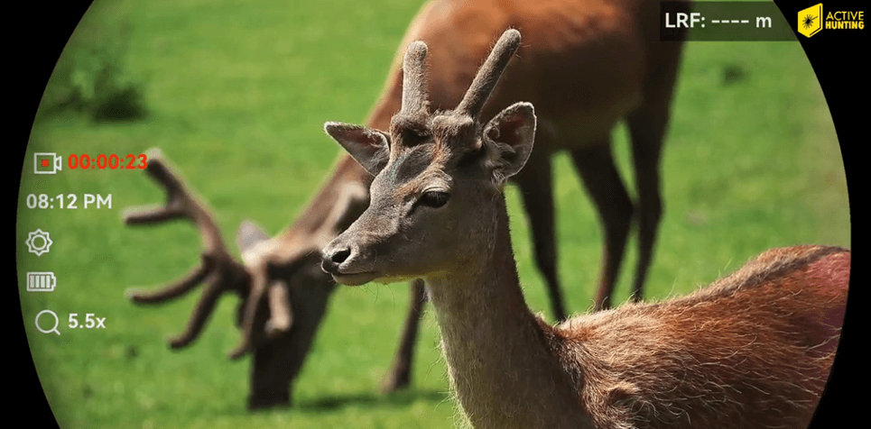 Hikmicro Habrok 4K Aufnahme 5,5x Zoom