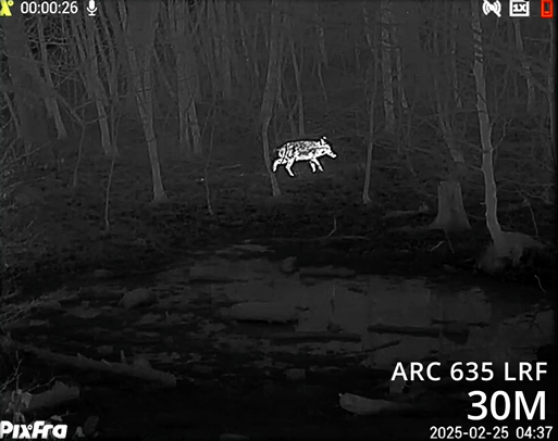 Pixfra Arc LRF Aufnahme 30M