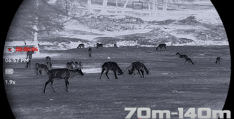 Falcon 2.0 Revieraufnahme bei 70-140 m