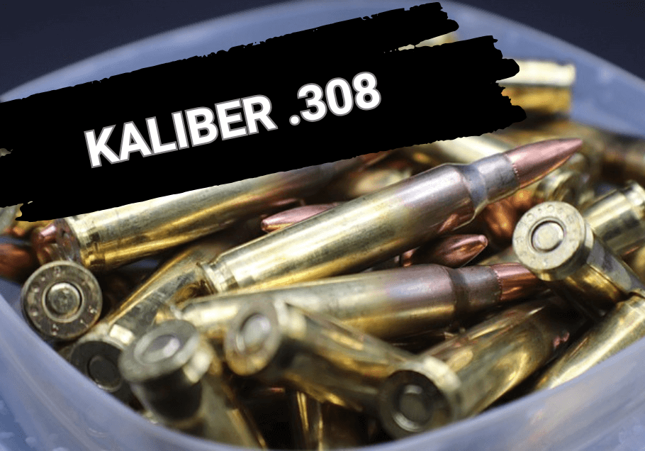 Kaliber 308 Winchester - Das Allround-Kaliber für Jagd und Sport