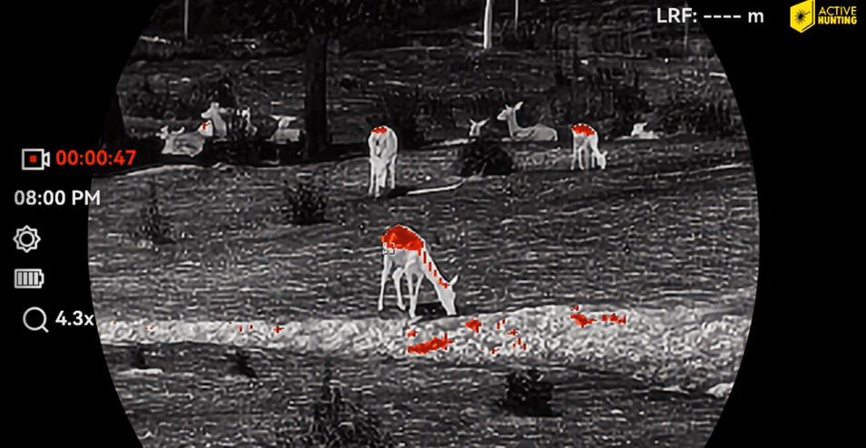 Hikmicro Habrok 4K Aufnahme Farbmodus 2